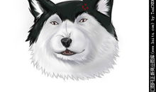 哈士奇漫画,欢乐逗趣的犬界喜剧大师